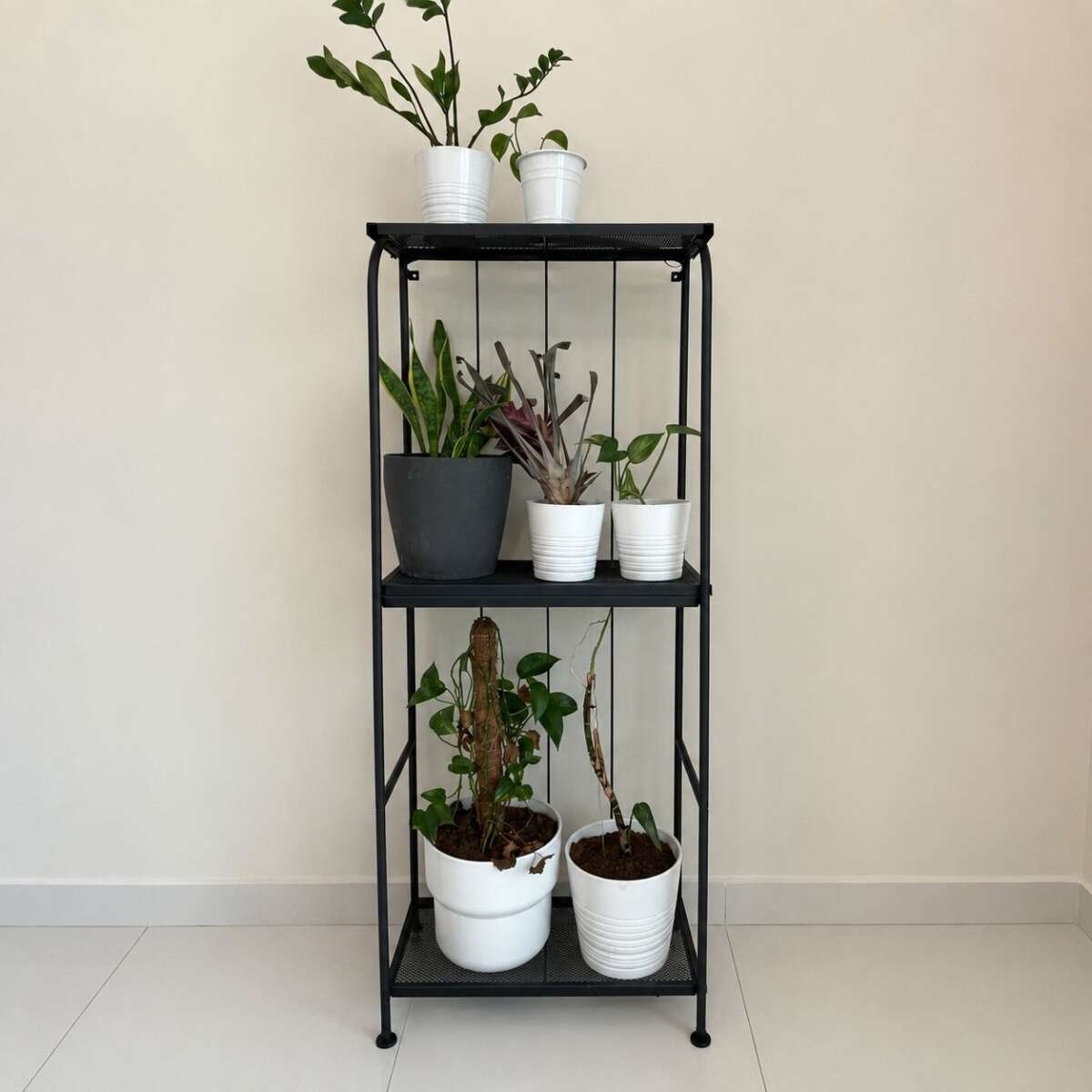 Plant & stand